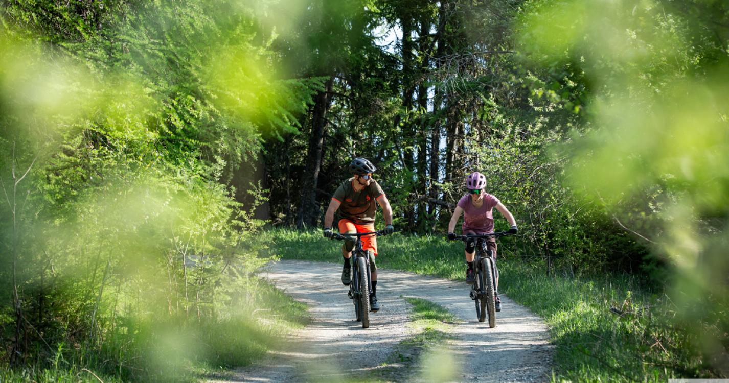 Huur uw fiets of mountainbike bij Cycle Sport (16 km)