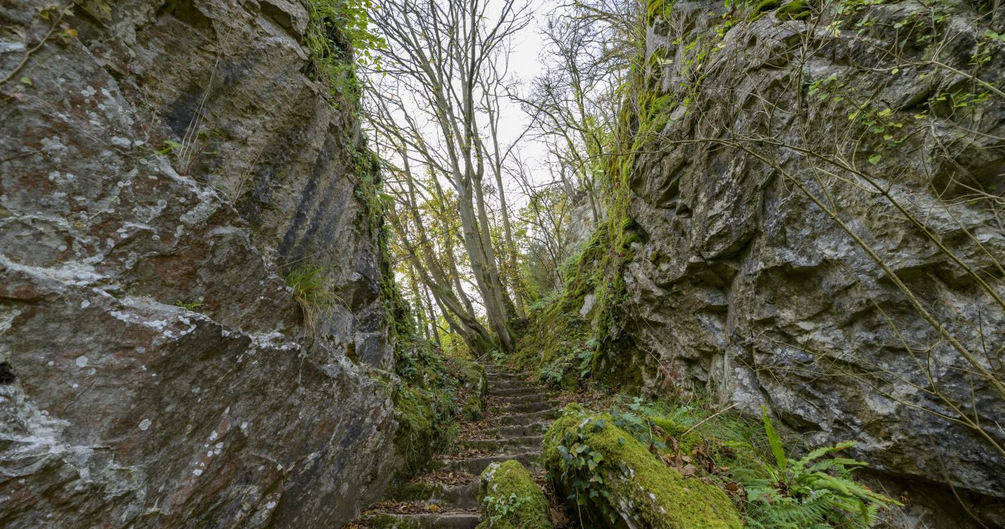 Le Parc de Furfooz, entre la nature et l’histoire (à 30 km)