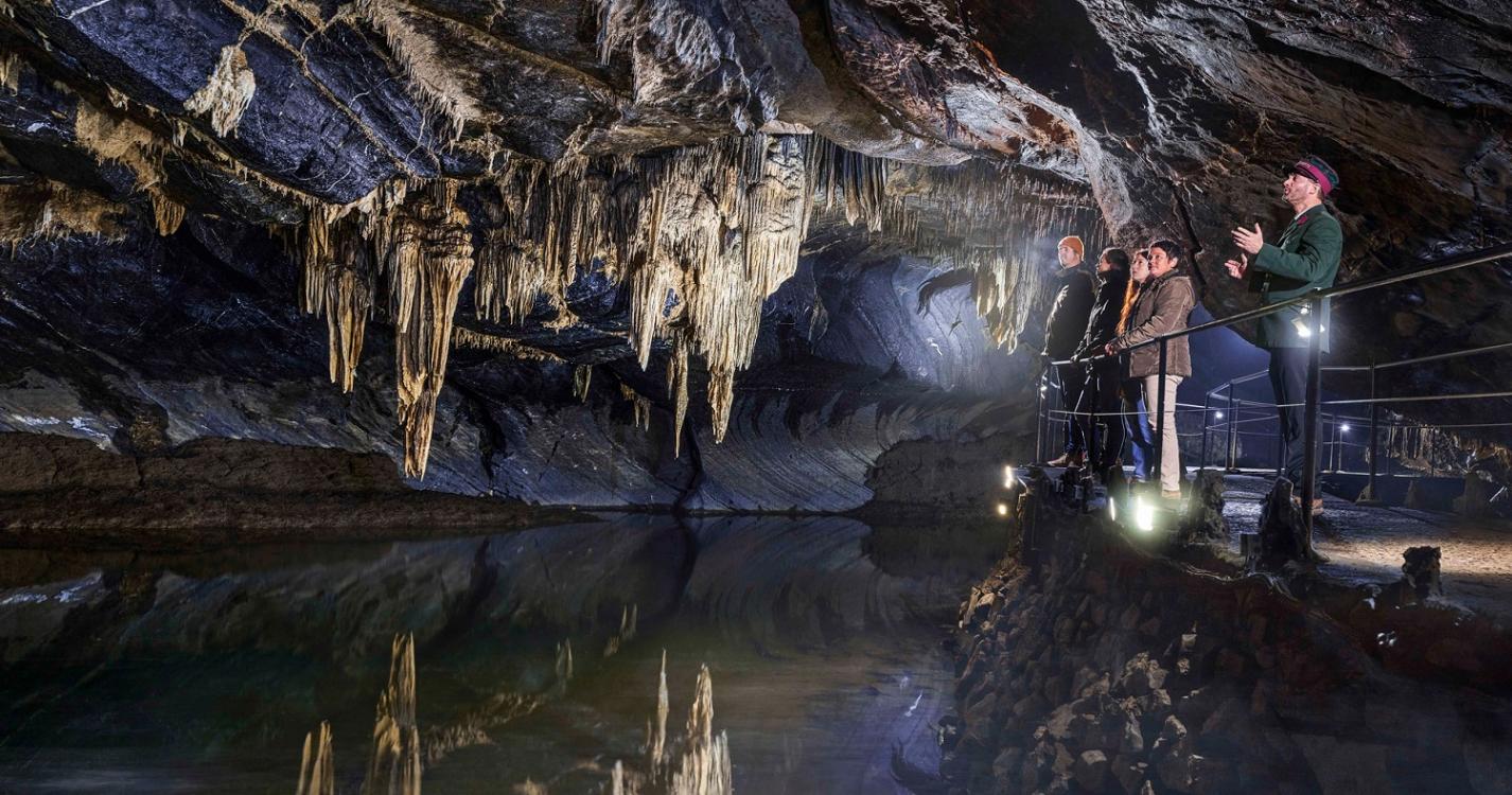 Het Domein van de Grotten van Han: een wildpark en een grot (10 km)